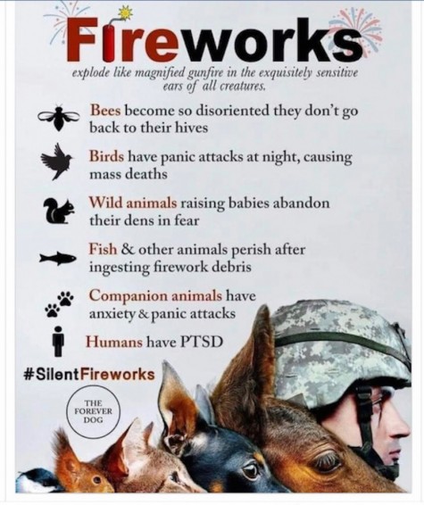 Dangers of fireworks