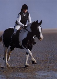 Liz riding horse