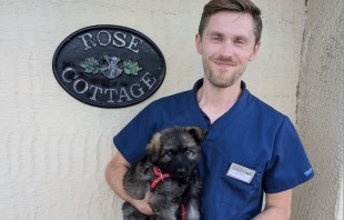 photo alternative text...