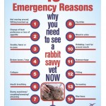 warning signs for rabbits