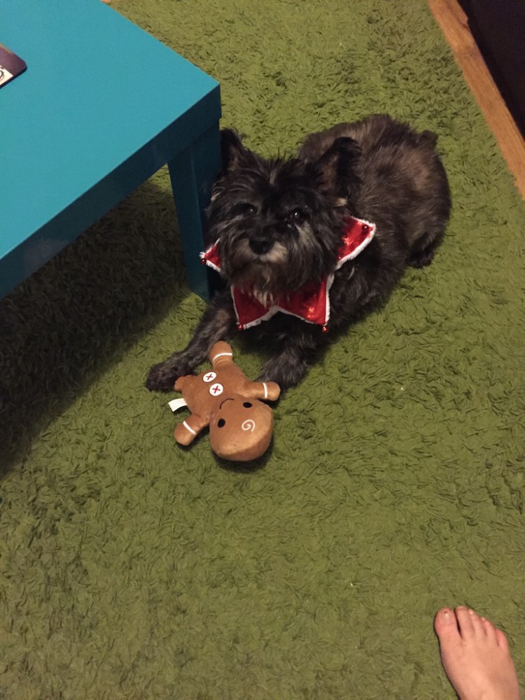 Charlie 3