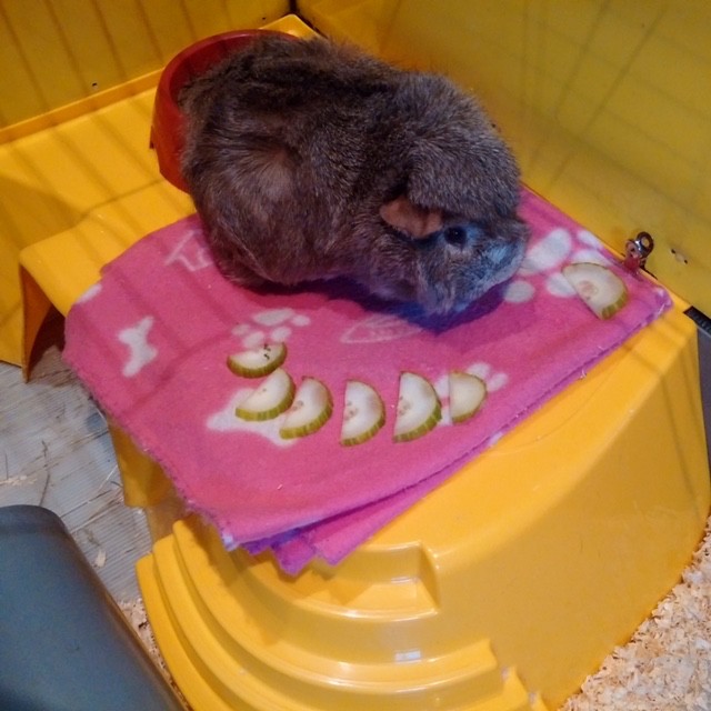 Food time