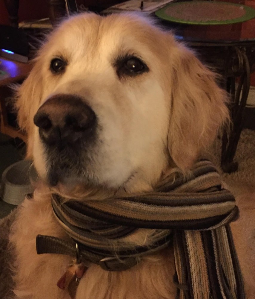 Scholastic Oscar