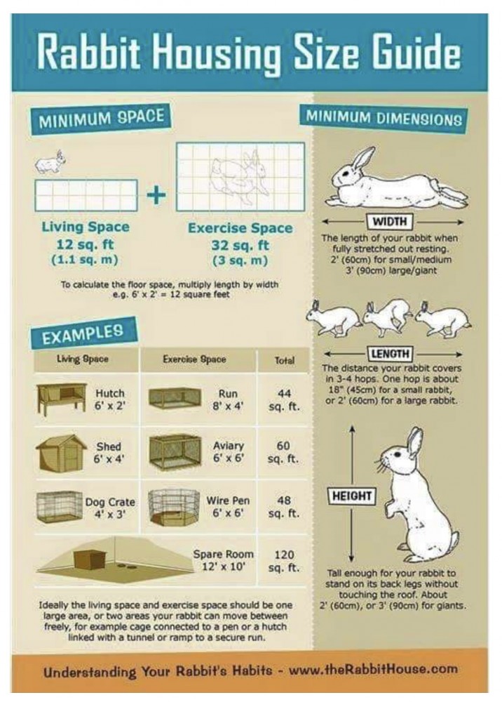 Housing advice