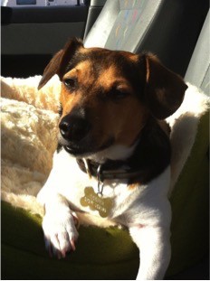 Cooper 1