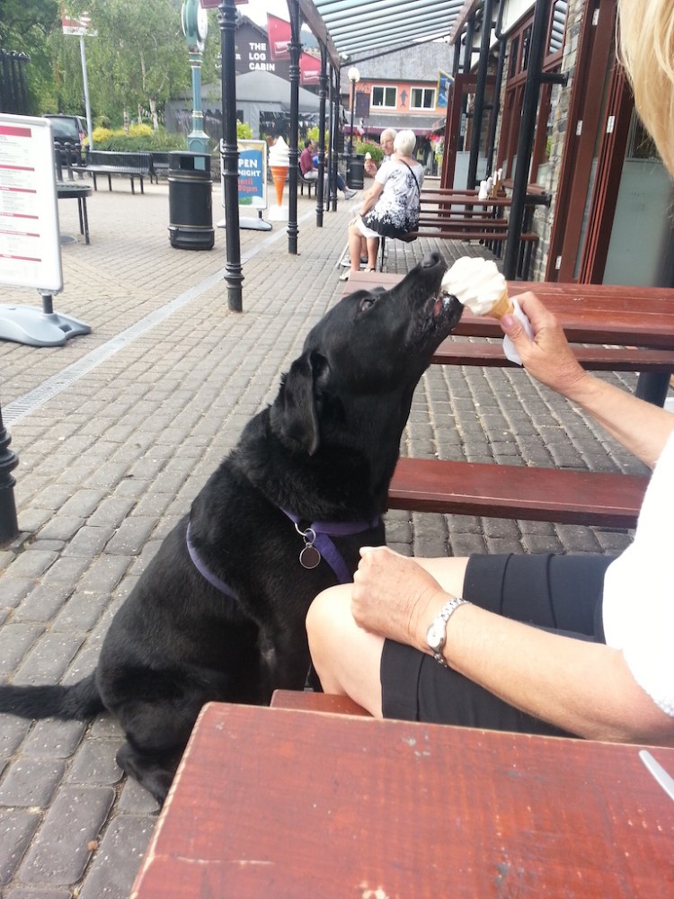 Lovely ice cream