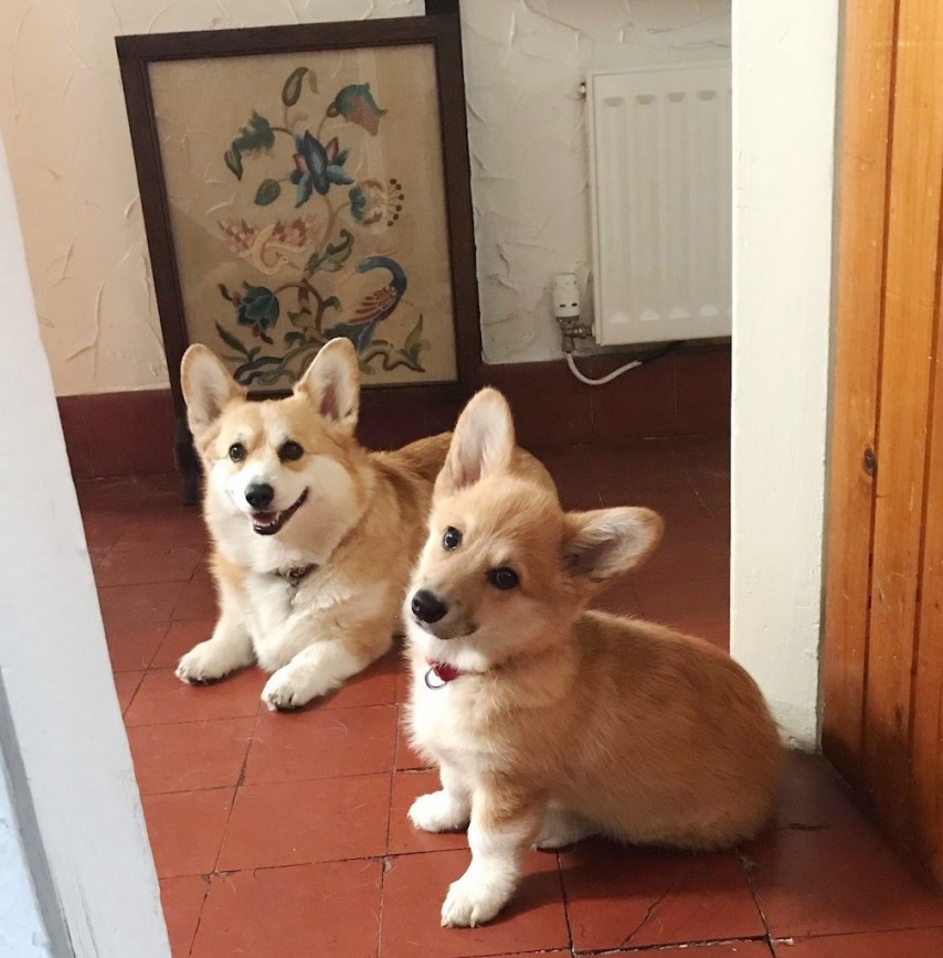 best friends