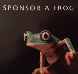 Sponsor frog