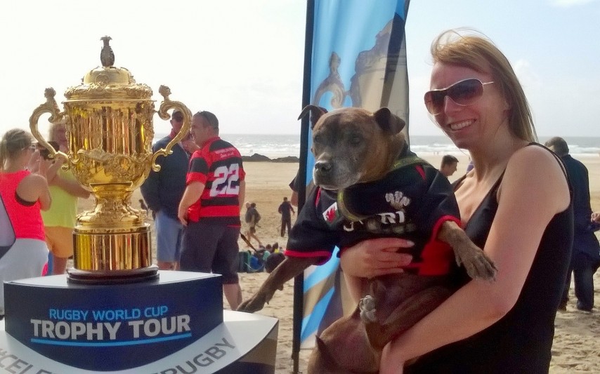 Tagg in rugby shirt