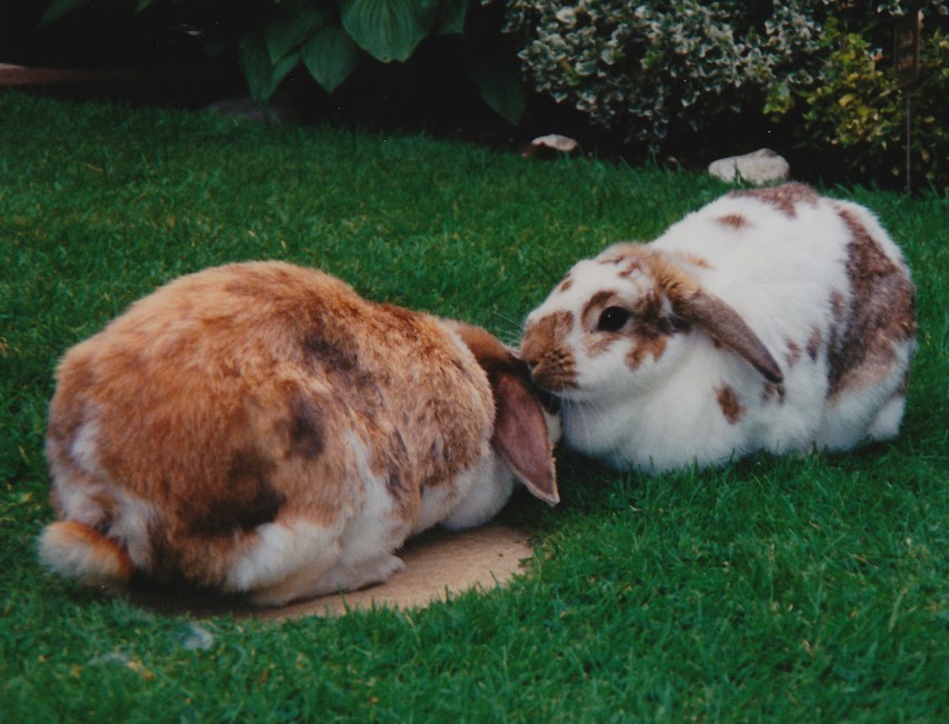 friends