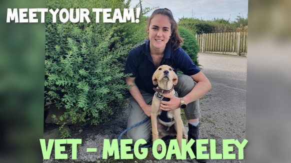 Meg