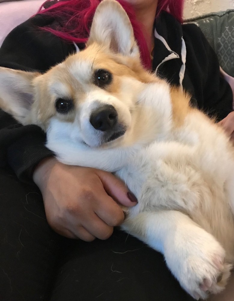cuddle time