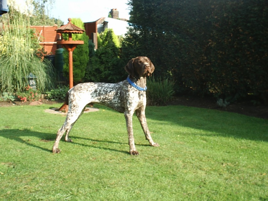 Harry 3