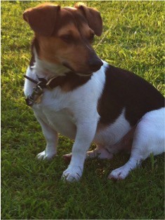 Cooper 2