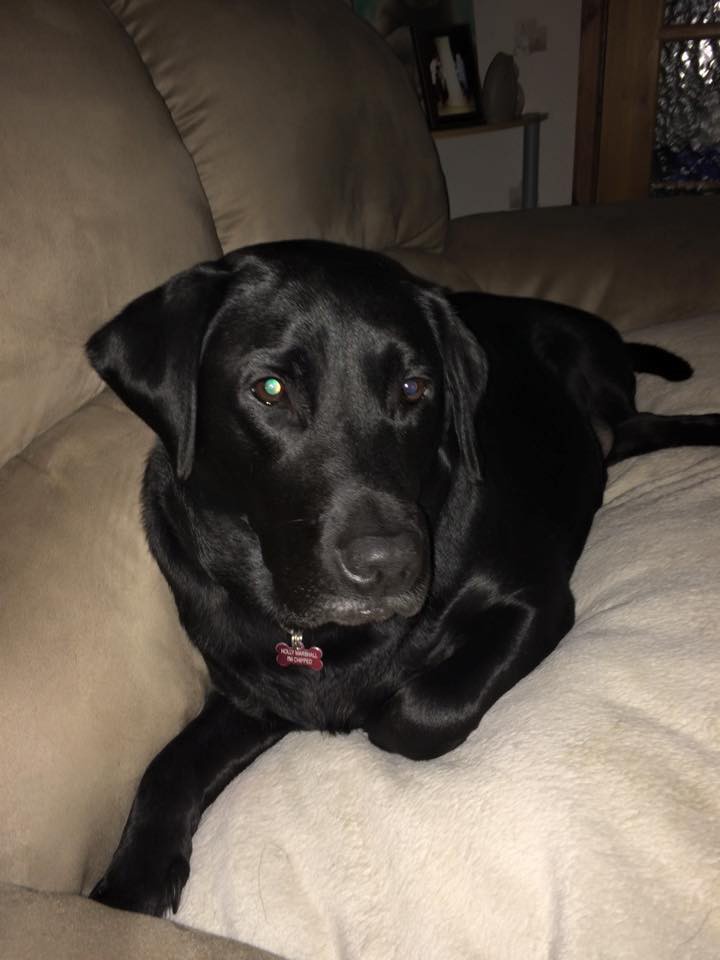 Holly on sofa