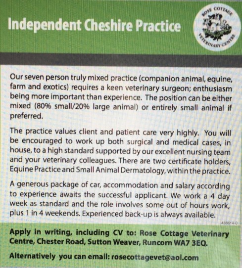 Job Vacancies | Rose Cottage Veterinary Centre