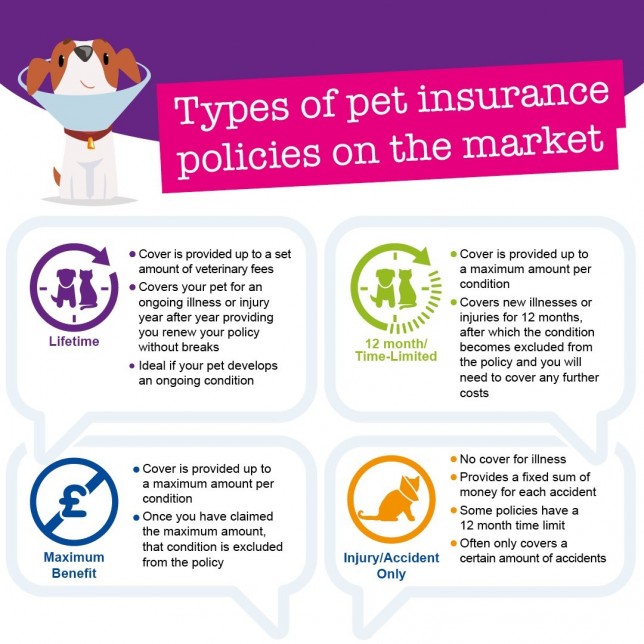 Different types of cheap pet insurance