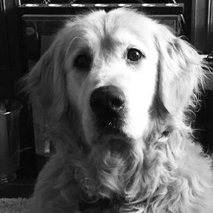 Oscar portrait