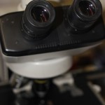 Microscope in lab