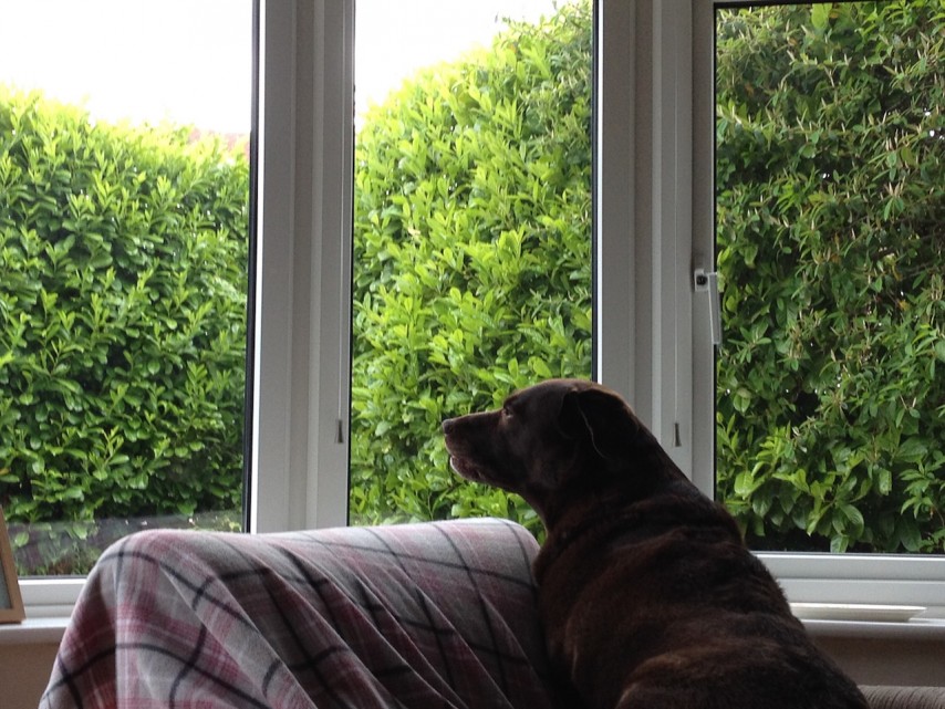 Pensive Tia