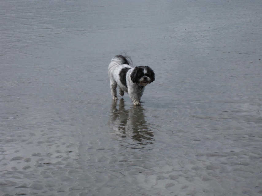 stroll on beach