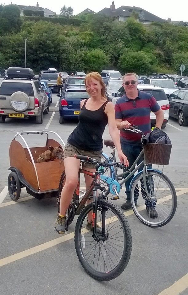 Tagg in buggy atached to bike