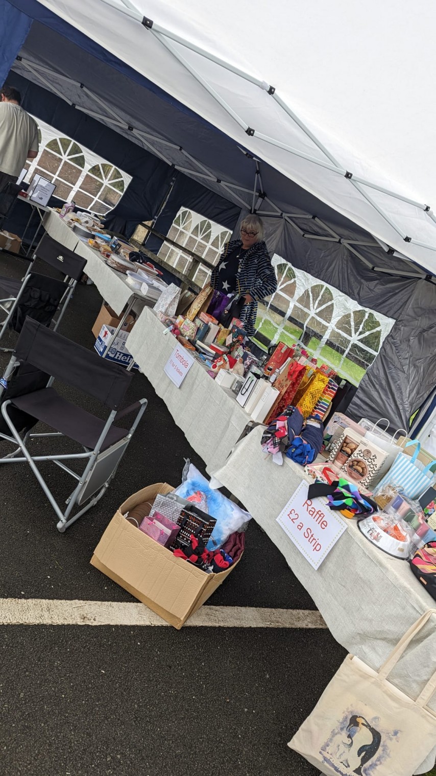 photo alternative text...