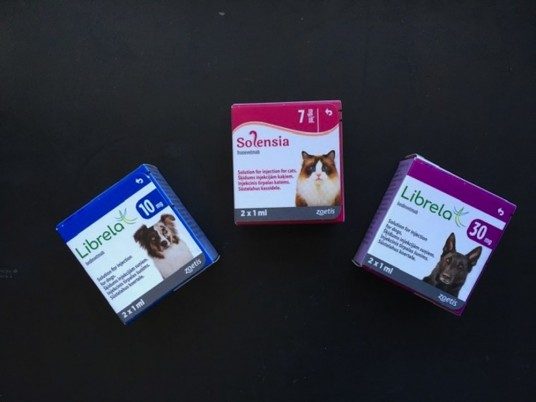 New Arthritis Treatment — Librela & Solensia