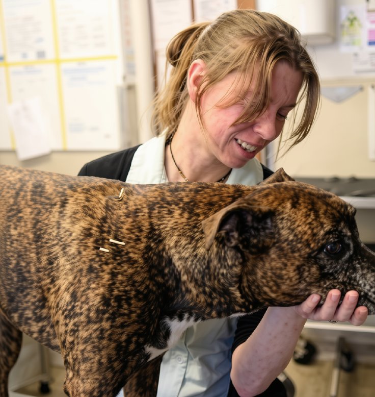 Gemma Hindle-Scales