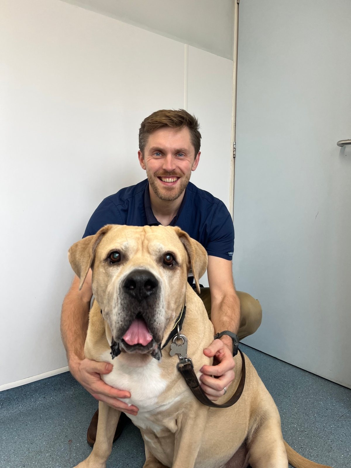 Emergency veterinary care