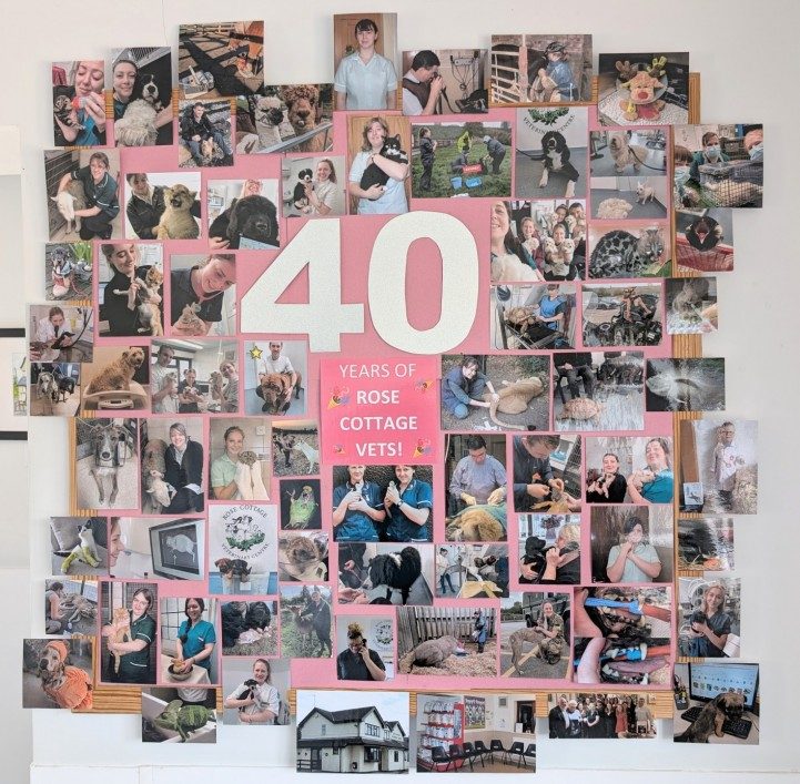 MacMillan Day 2024
