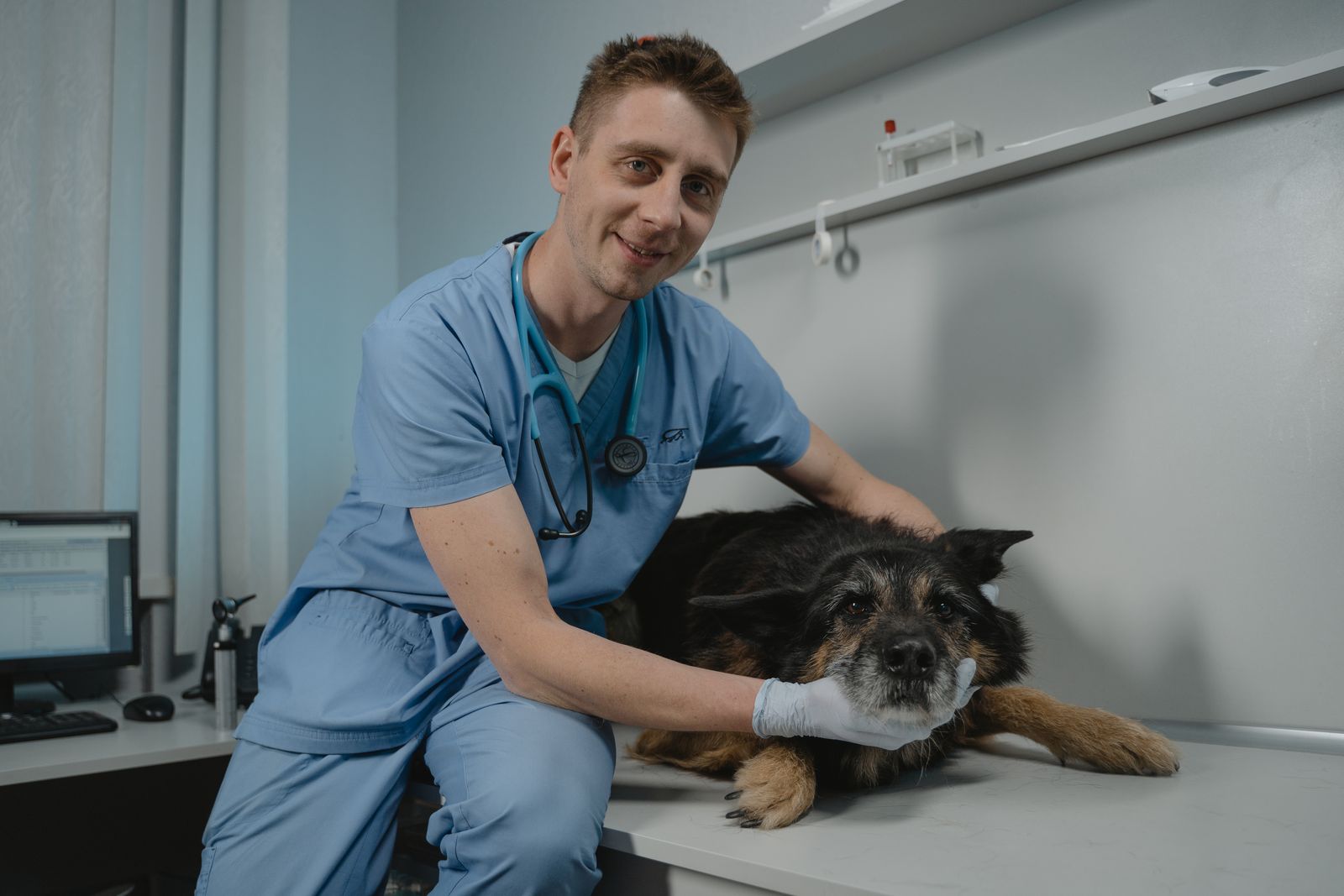 Emergency veterinary care